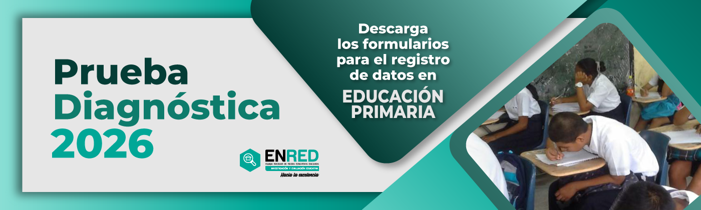 prueba-diagnosticaok.png