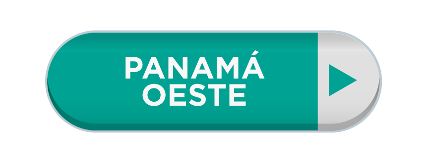 Imagen 16
