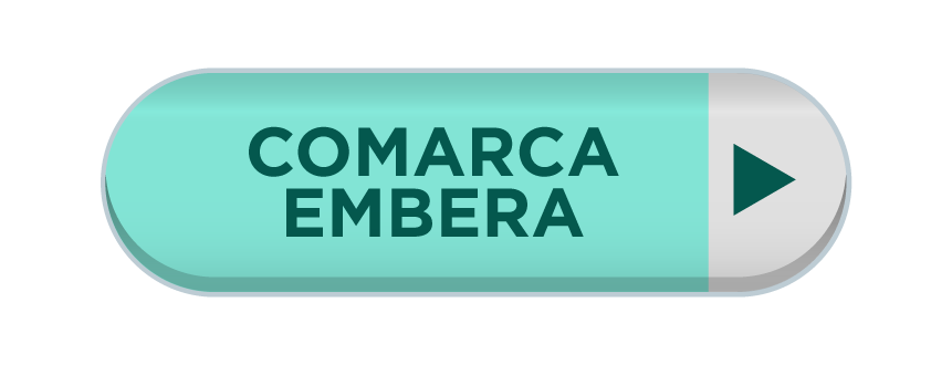 Imagen 19