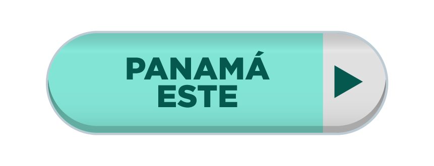 Imagen 13