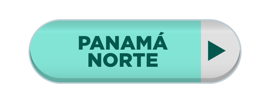 Imagen 14