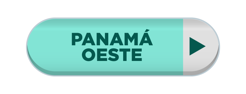 Imagen 16