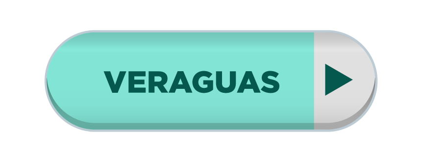 Imagen 17