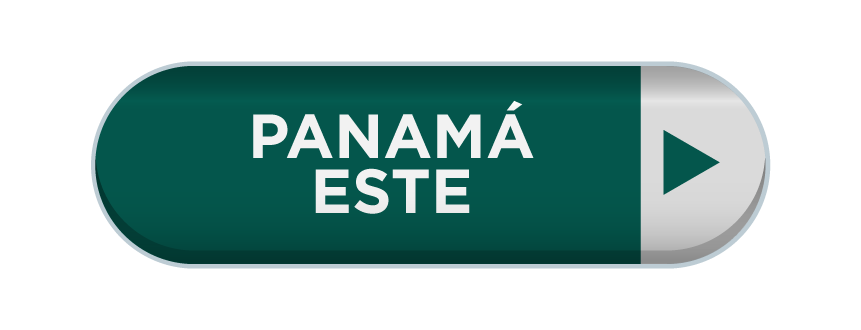 Imagen 13