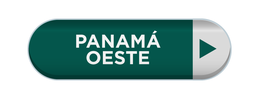Imagen 16