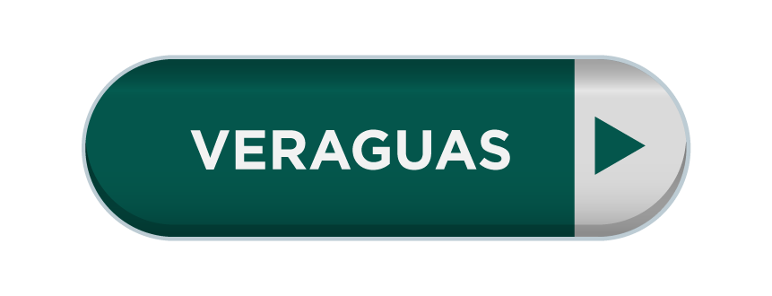 Imagen 17