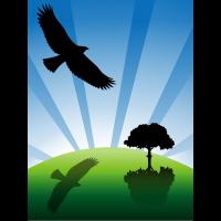 naturaleza