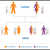 hunterpatients.com