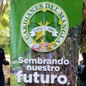 Guardianes del manglar, escuela Espavé Guardianes del manglar, escuela Espavé