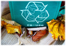 bolsa-ecologica