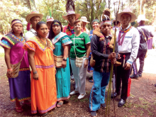 pueblos-originarios