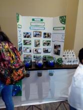 proyecto purificacion del agua