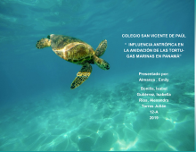 tortuga en el océano