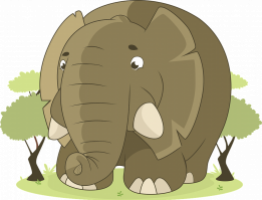 Eelefante