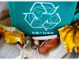 bolsa-ecologica
