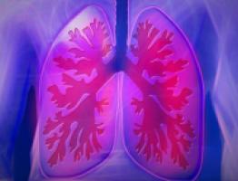 sistema respiratorio